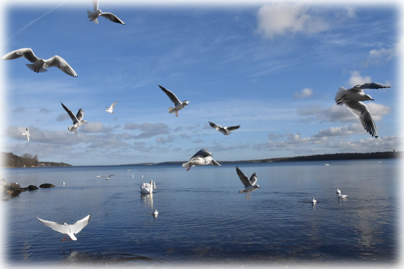 Ruhe und-Ausgeglichenheit_kl